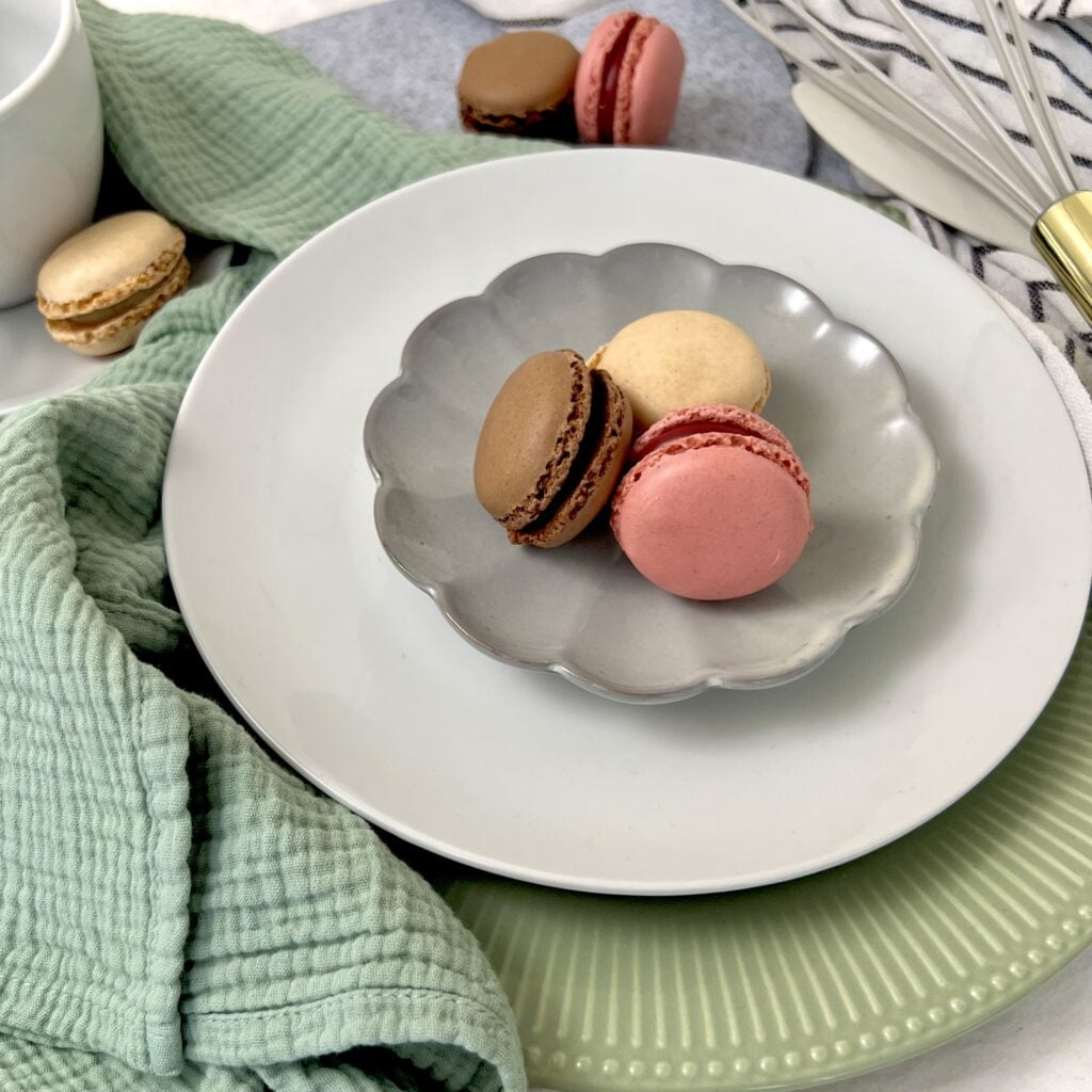 Bunte Macarons Himbeere rosa Vanille beige und Schokolade braun auf weissem und grünem Teller neben Tuch